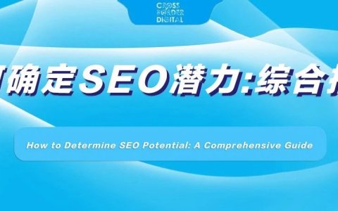 如何确定SEO潜力：综合指南（下期）
