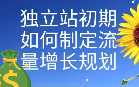 独立站初期如何制定流量增长规划