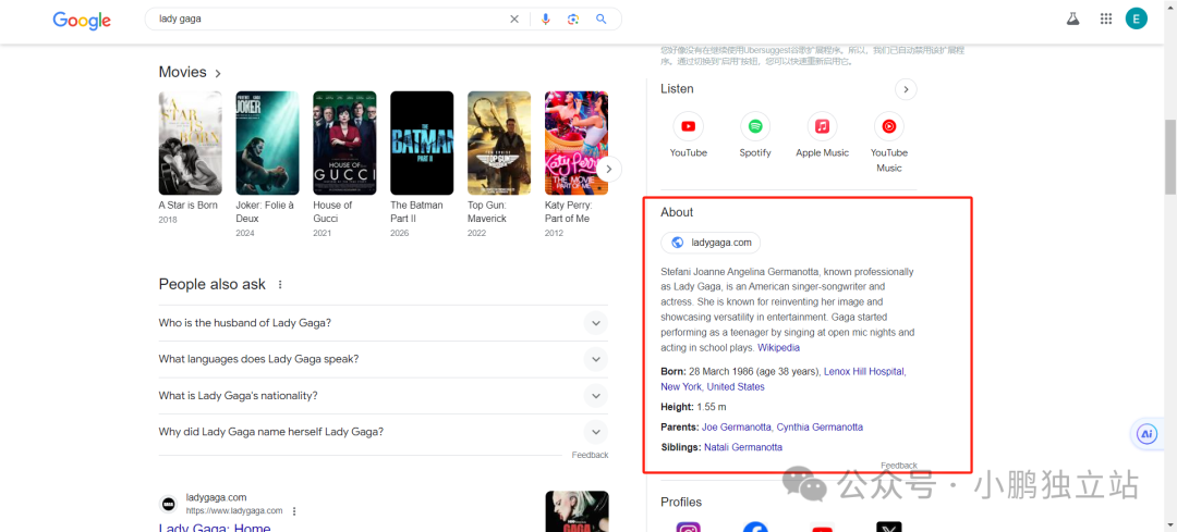 谷歌SEO趋势:SERP元素的多元化