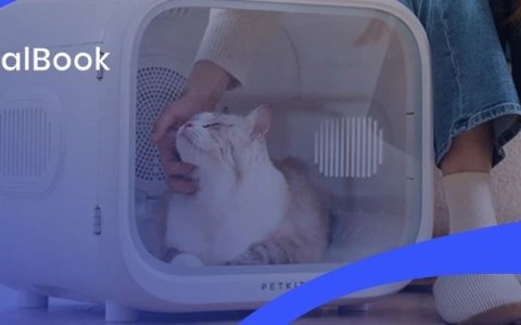 年销量破10亿！出海卖猫砂盆这门生意怎么做？
