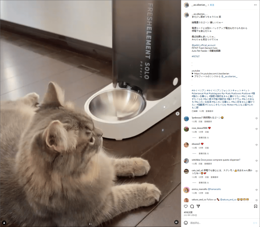 年销量破10亿!出海卖猫砂盆这门生意怎么做?