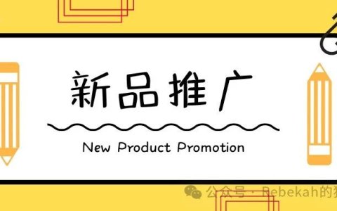新品突破1万美金月销，推广计划分享