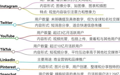 海外社交媒体平台的内容形式