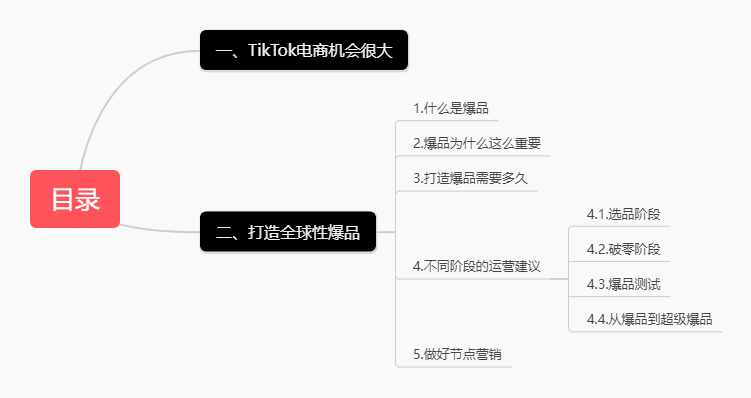 TikTok超级干货,出海电商宝典透露爆品打造方法论