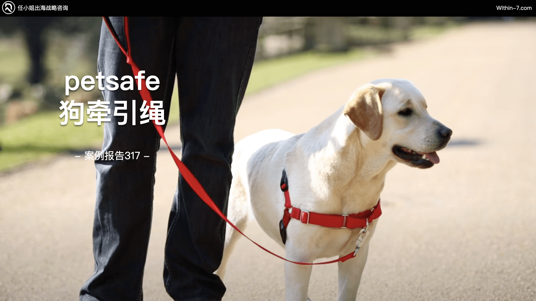 战略“升维”:不在一个层级上做商业竞争,是一件很有趣的事情