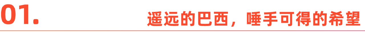 在巴西赚了5个亿,他们只想闷声发大财