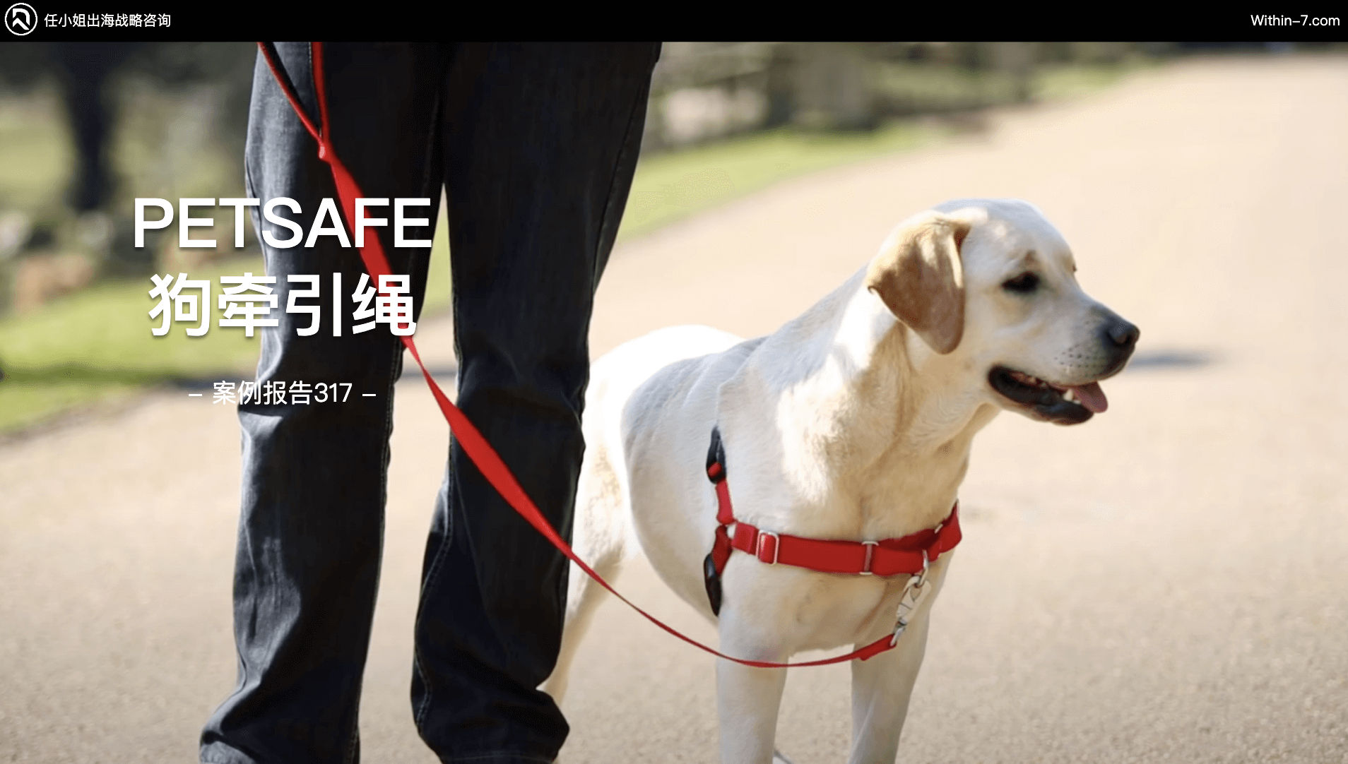 宠物和母婴儿童品类出海,如何扩大销售规模?赚到更多的钱?