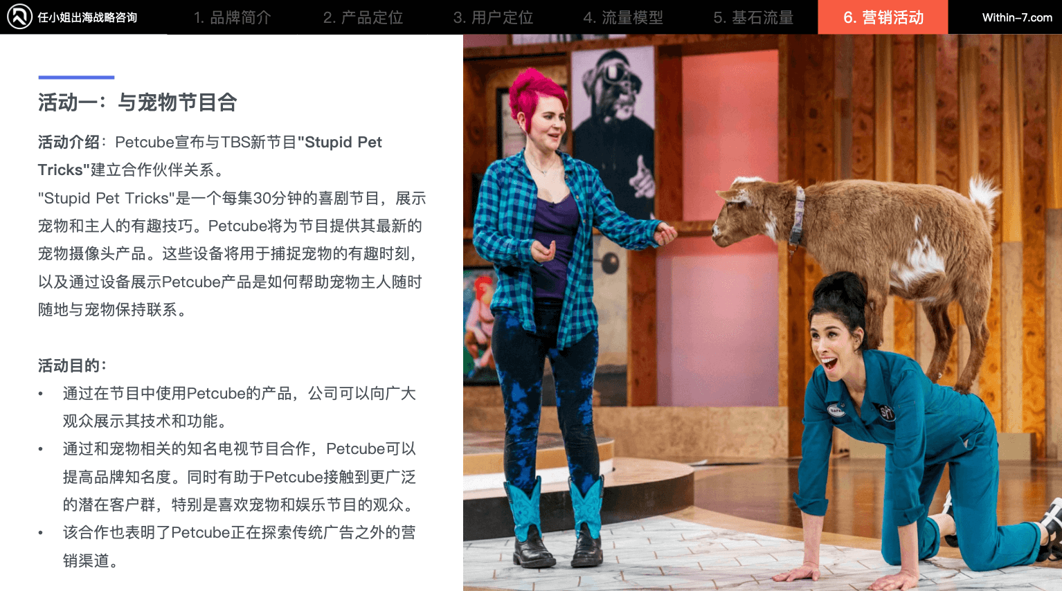 宠物细分赛道产品卖贵反而更好?宠物产品的"婴儿化"趋势