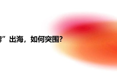 “品牌”出海，如何突围？
