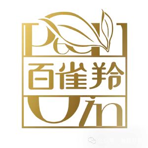 品牌进化的行动指南:用户为核心的增长模型