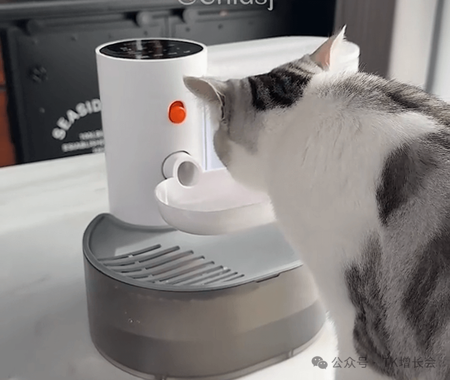宠物用品工厂做TikTok电商,仅上架3天就日销超1000单