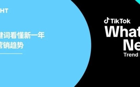 TikTok年度报告：不懂“品牌化学”难做2025营销
