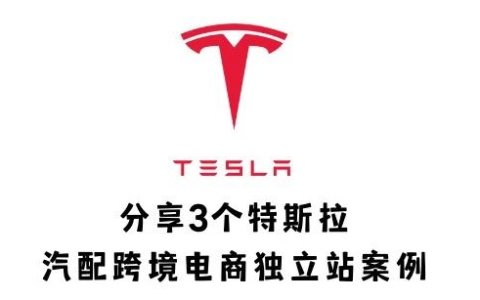 分享3个特斯拉汽配跨境电商独立站案例