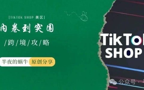 TikTok竞价流量运营指南：从内卷到突围