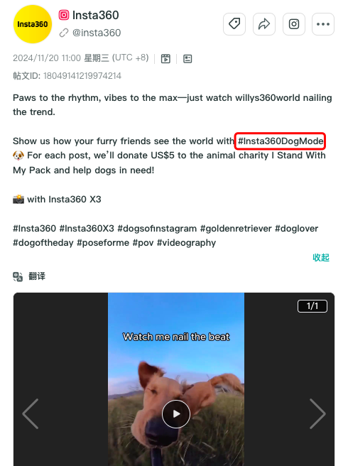 IPO获准!智能影像龙头Insta360靠什么赢得全球六连冠