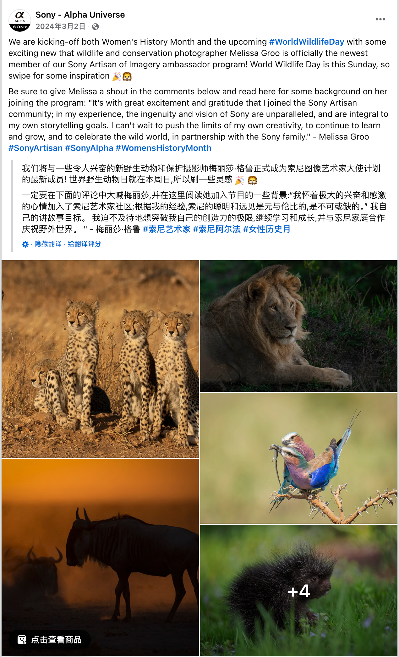 3月海外营销日历:斋月,开斋节,MWC25,洒红节,世界野生动植物日,国际森林日...