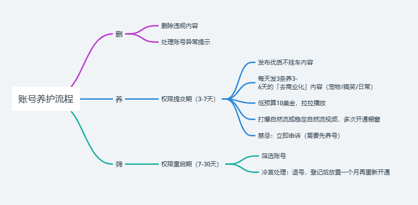 惨封五十个Tik Tok橱窗后的总结【实战案例分享】