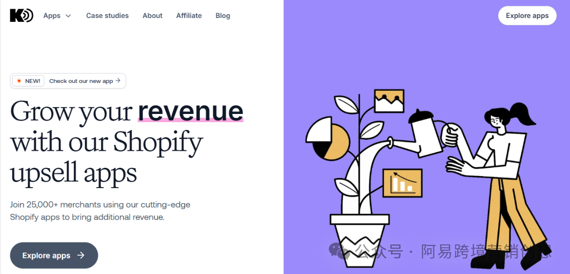 设计师利用 Shopify 逆袭:14 天开发到年入 430 万美金