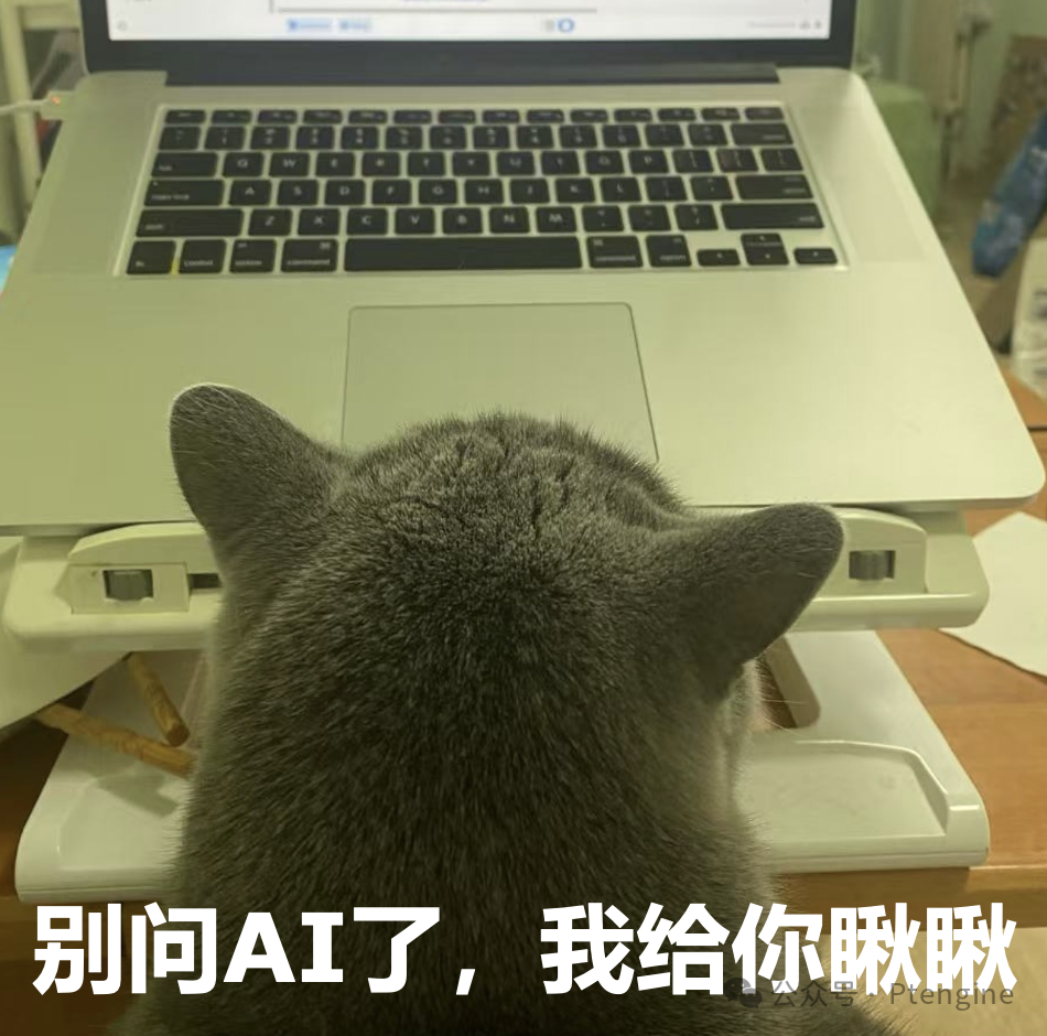 【品牌出海】4月11日美国宠物日营销指南