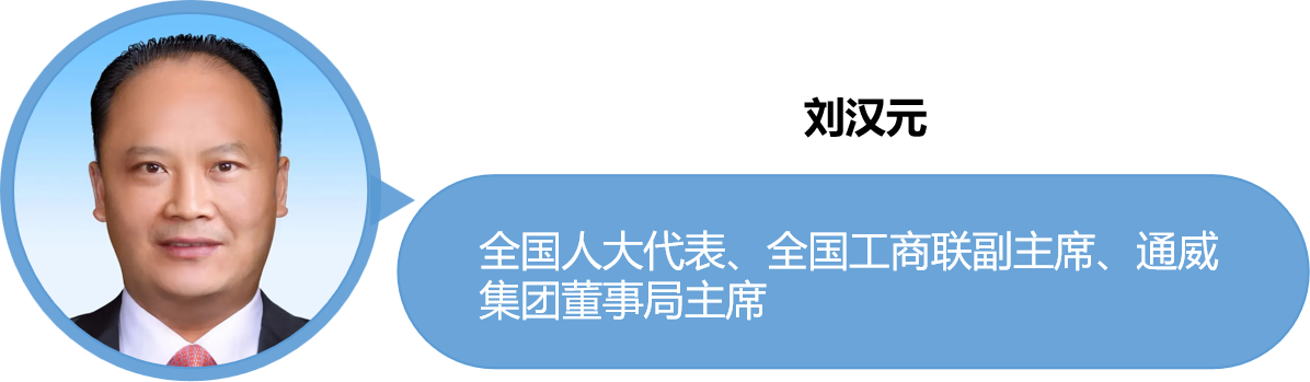 两会观察 | 2025企业出海如何破局？