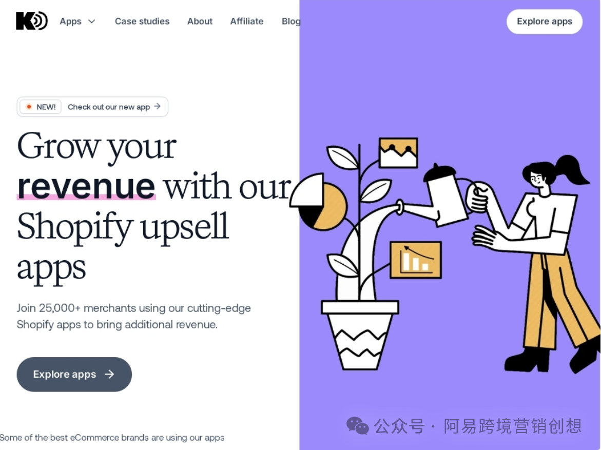 设计师利用 Shopify 逆袭:14 天开发到年入 430 万美金