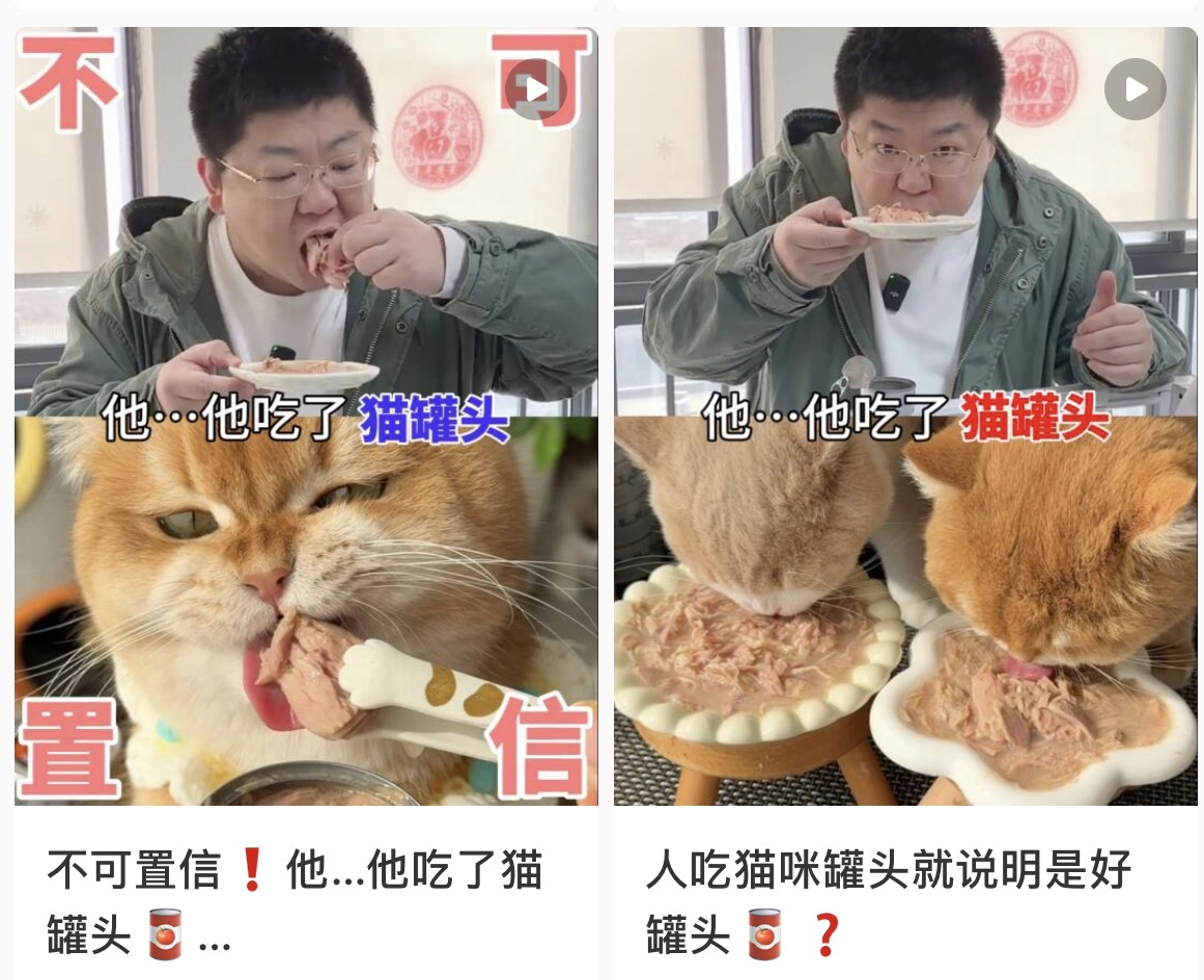 小红书正式进军跨境电商，普通商家如何破局？