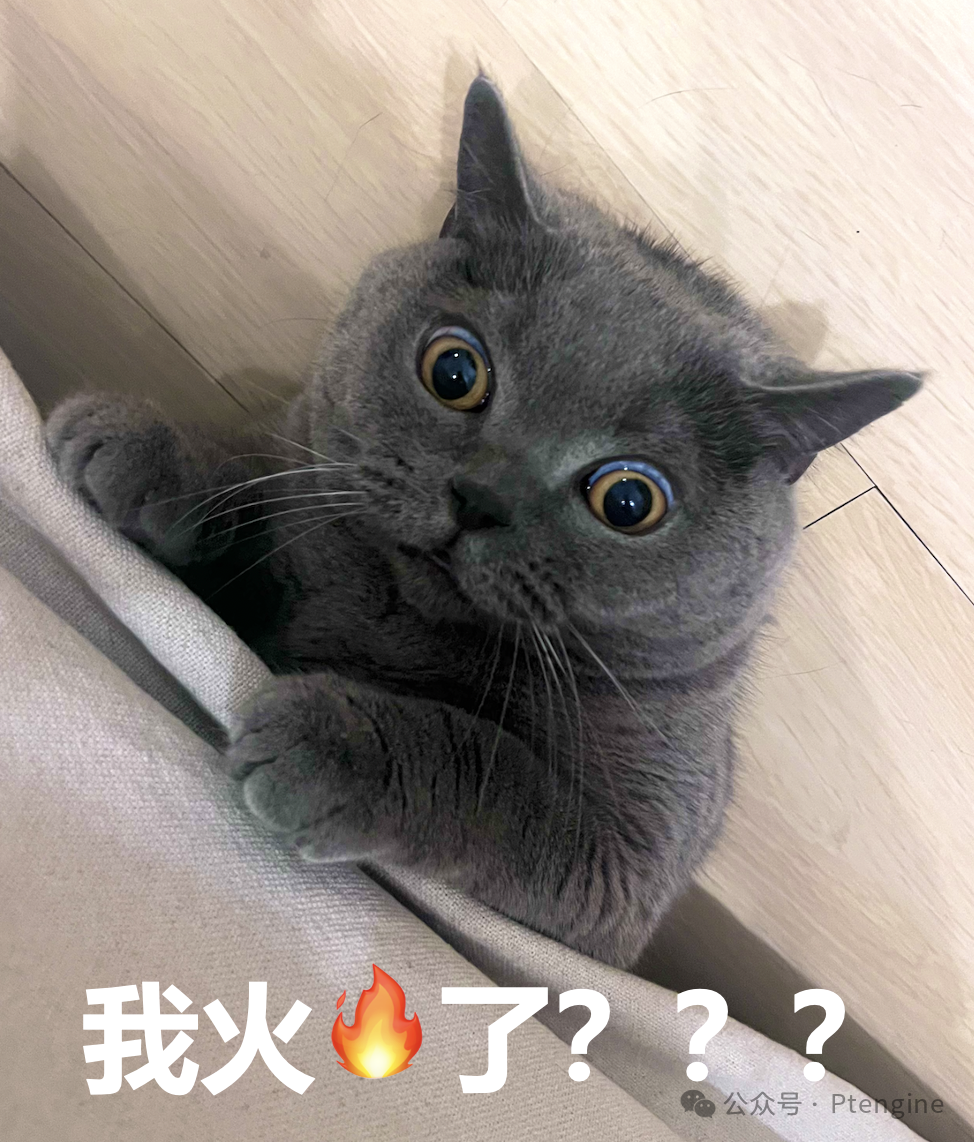 【品牌出海】4月11日美国宠物日营销指南