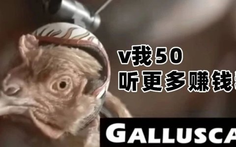 一些“离谱”，但很赚钱的出海商机