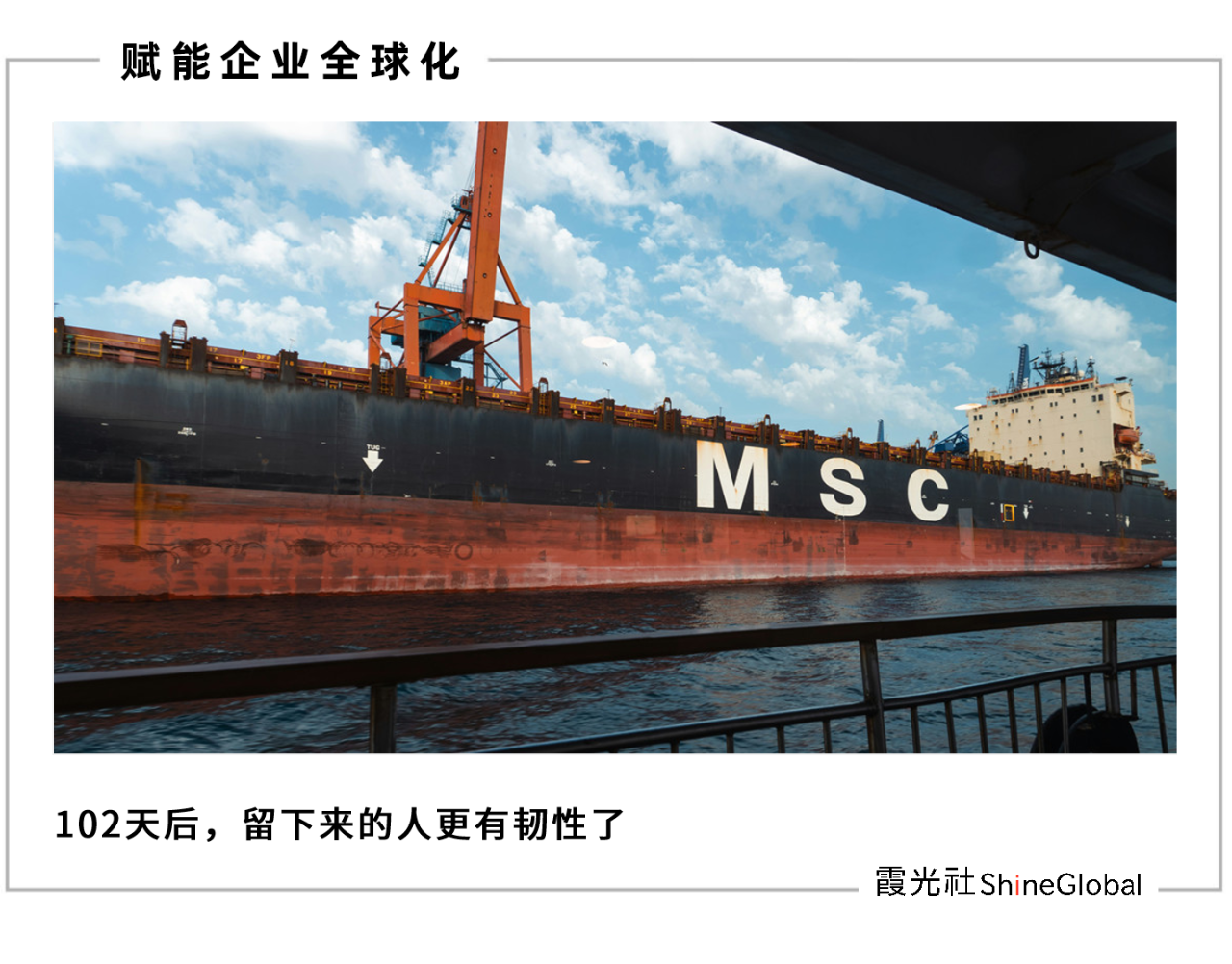 关税变脸 102 天:跨境电商人的至暗与曙光