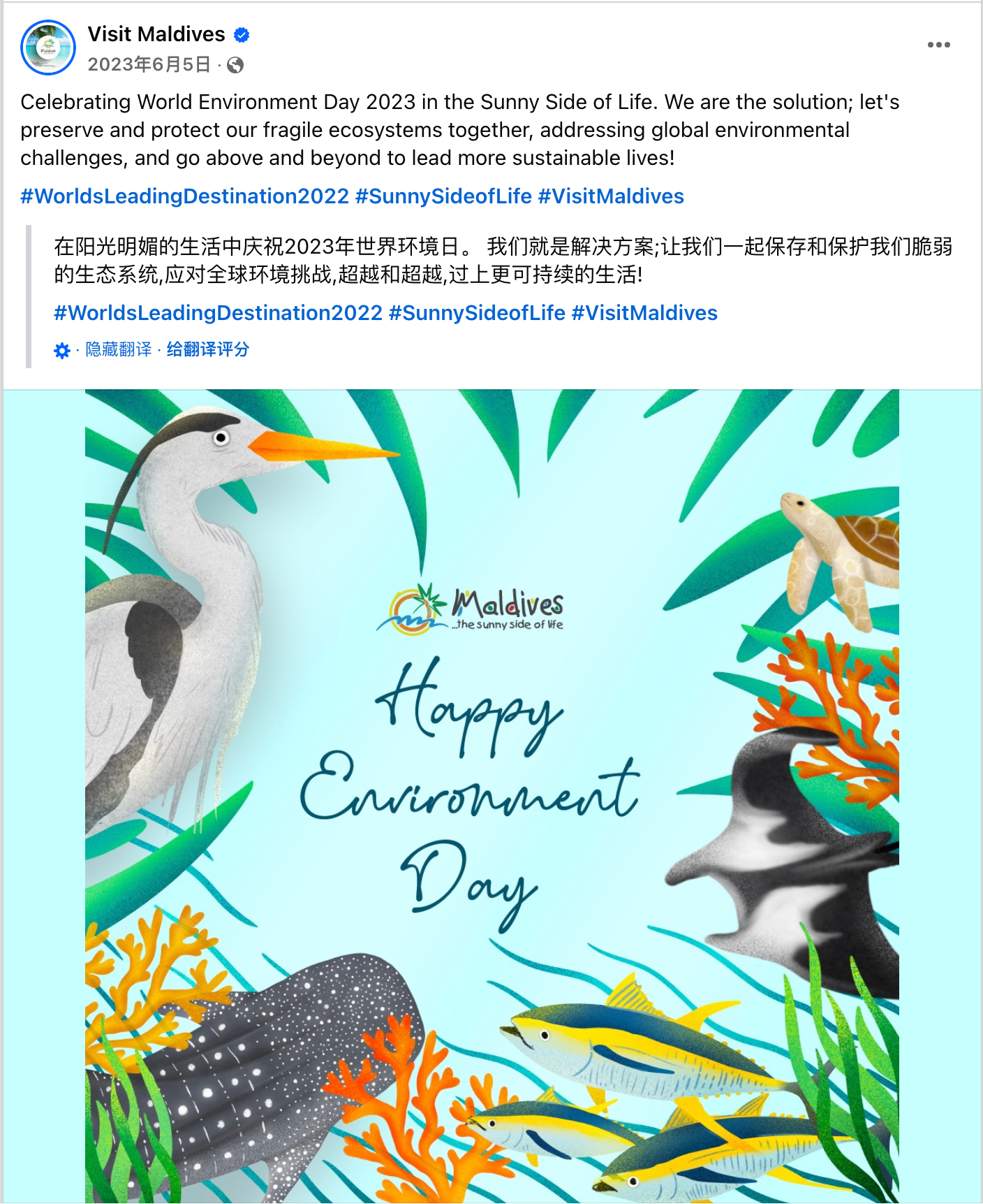 6月海外营销日历:世界环境日,古尔邦节,父亲节,世界海洋日,社交媒体日...