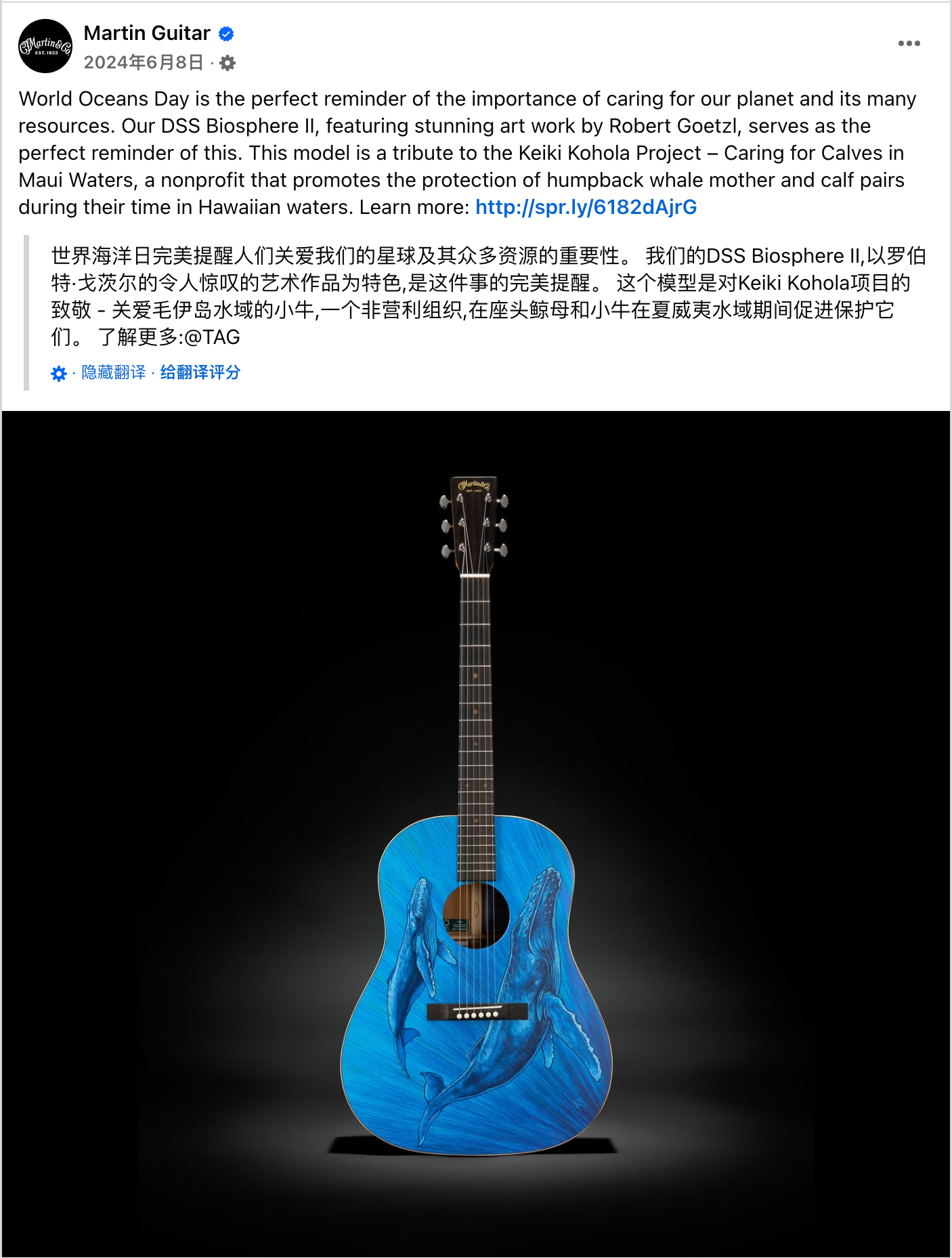 6月海外营销日历:世界环境日,古尔邦节,父亲节,世界海洋日,社交媒体日...