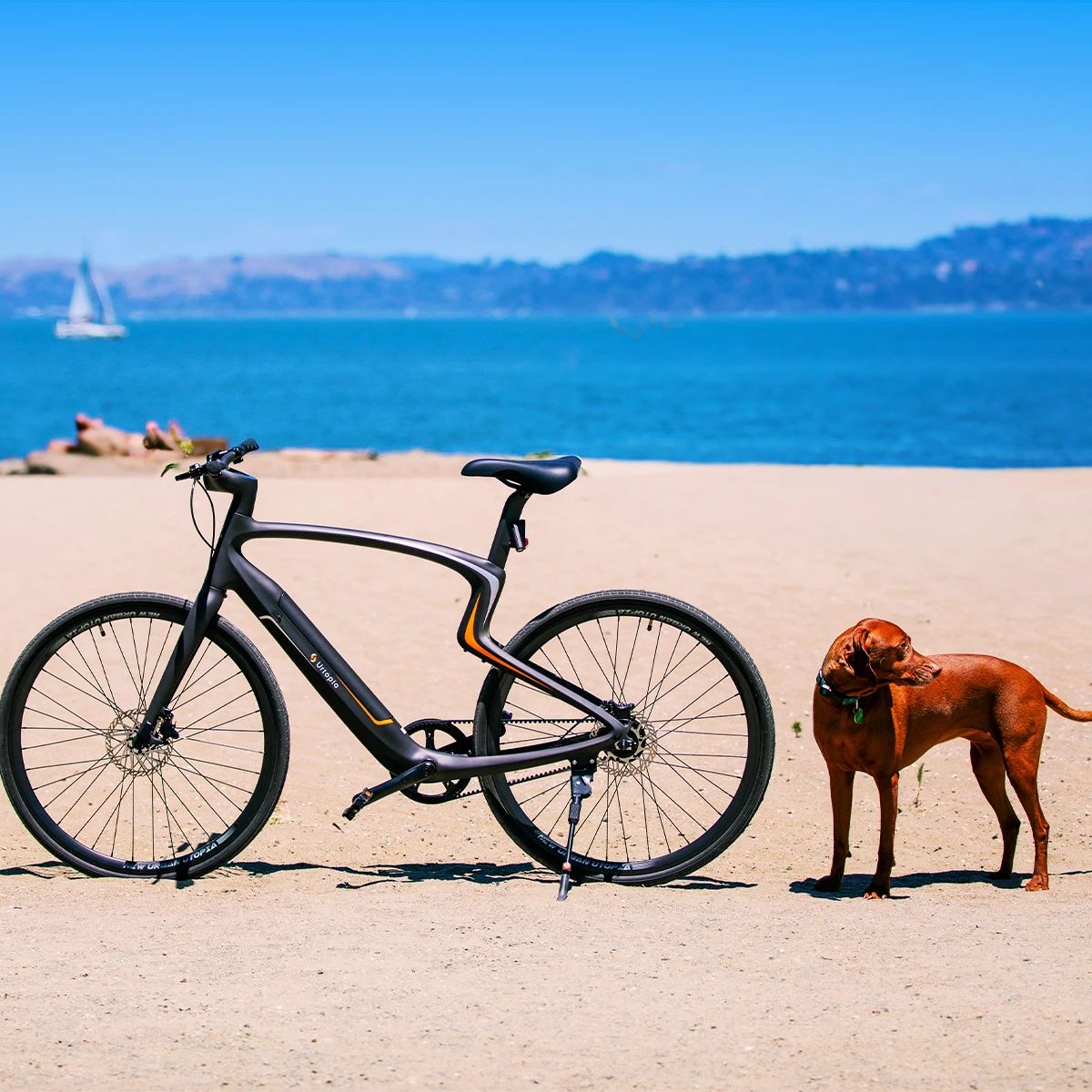 当 E-bike 装上 ChatGPT|Shine Brand