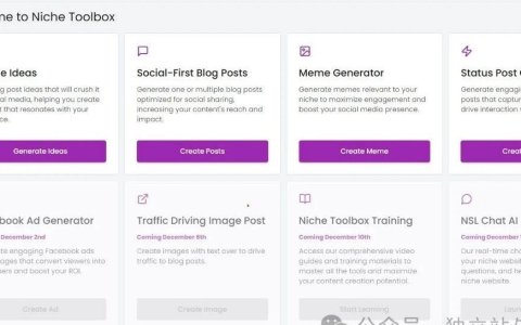 Nichesite Lady 周赚2万美元的FB流量策略