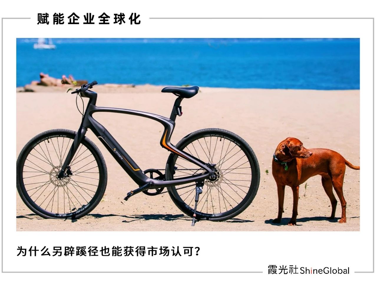 当 E-bike 装上 ChatGPT|Shine Brand