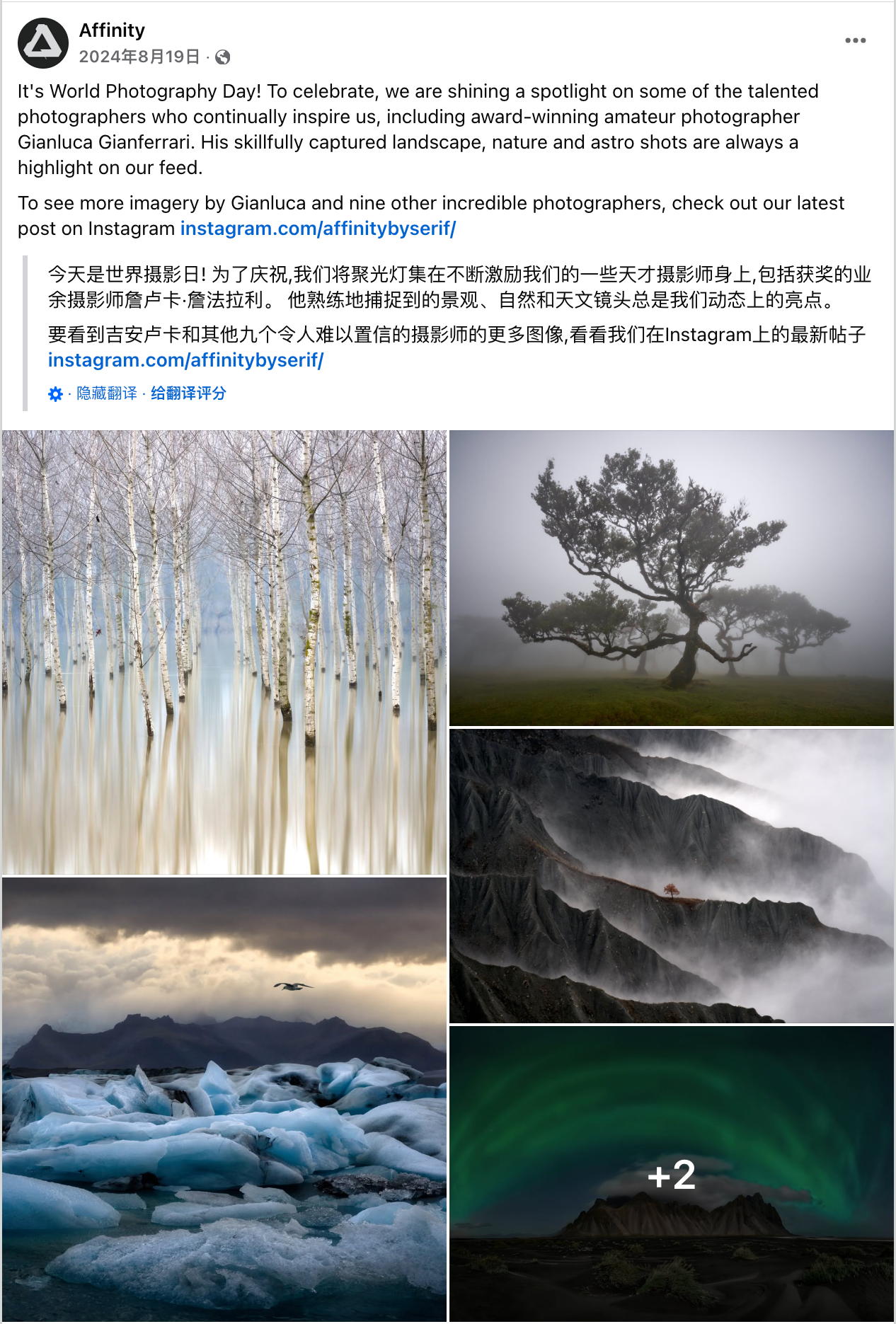 8月海外营销日历:世界摄影日,国际青年日,科隆国际游戏展,国际狗狗日,国际猫咪日,世界运动会...