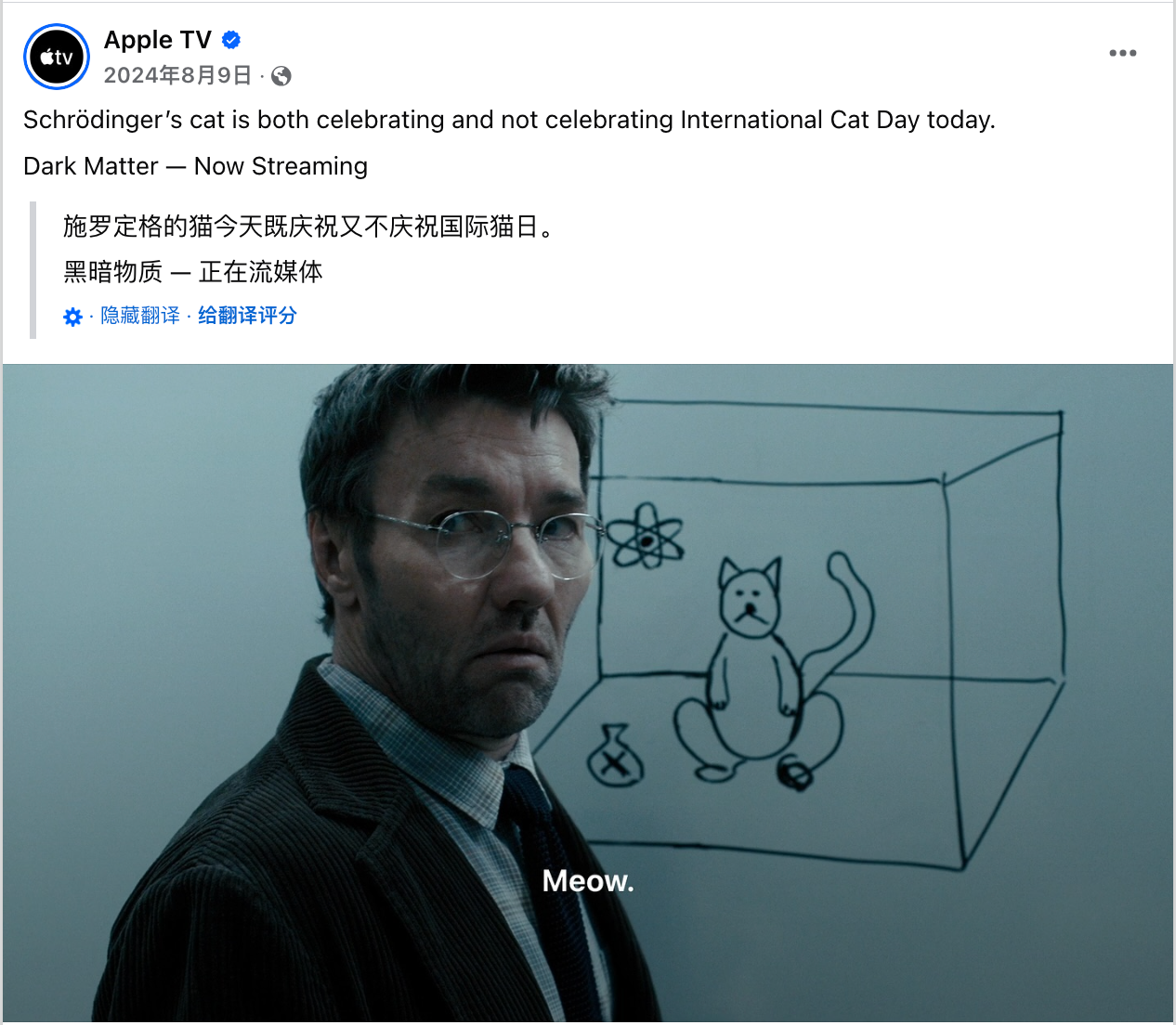 8月海外营销日历:世界摄影日,国际青年日,科隆国际游戏展,国际狗狗日,国际猫咪日,世界运动会...
