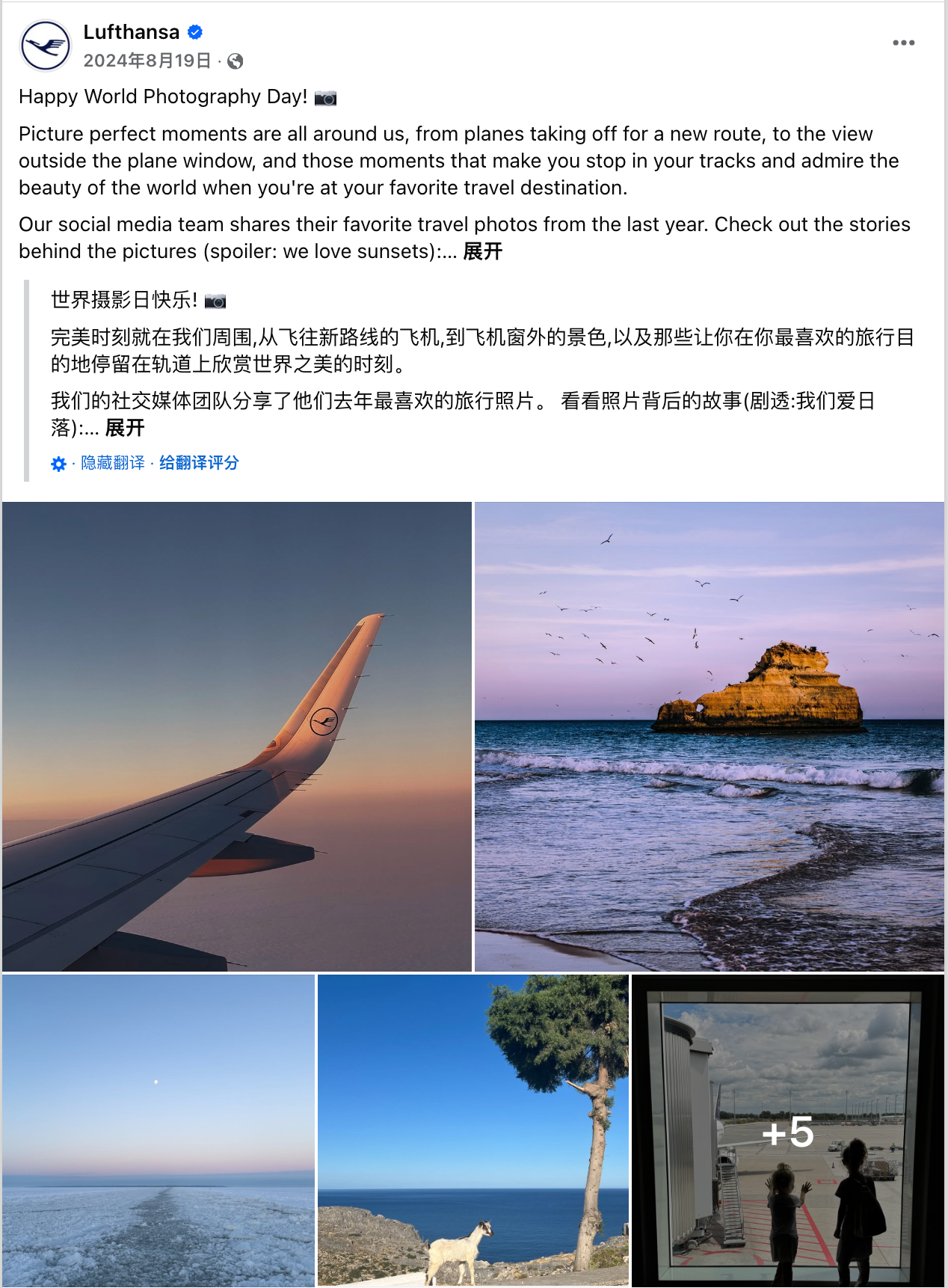 8月海外营销日历:世界摄影日,国际青年日,科隆国际游戏展,国际狗狗日,国际猫咪日,世界运动会...