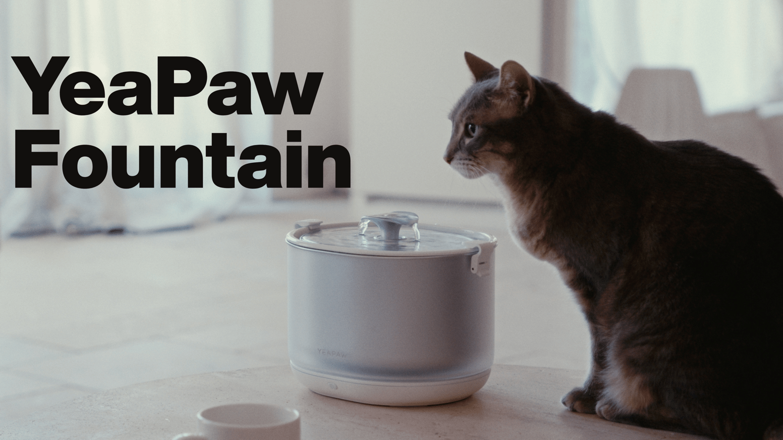 YeaPaw Fountain: Cordless. No Pump. Better Filtration. by YeaPaw — Kickstarter