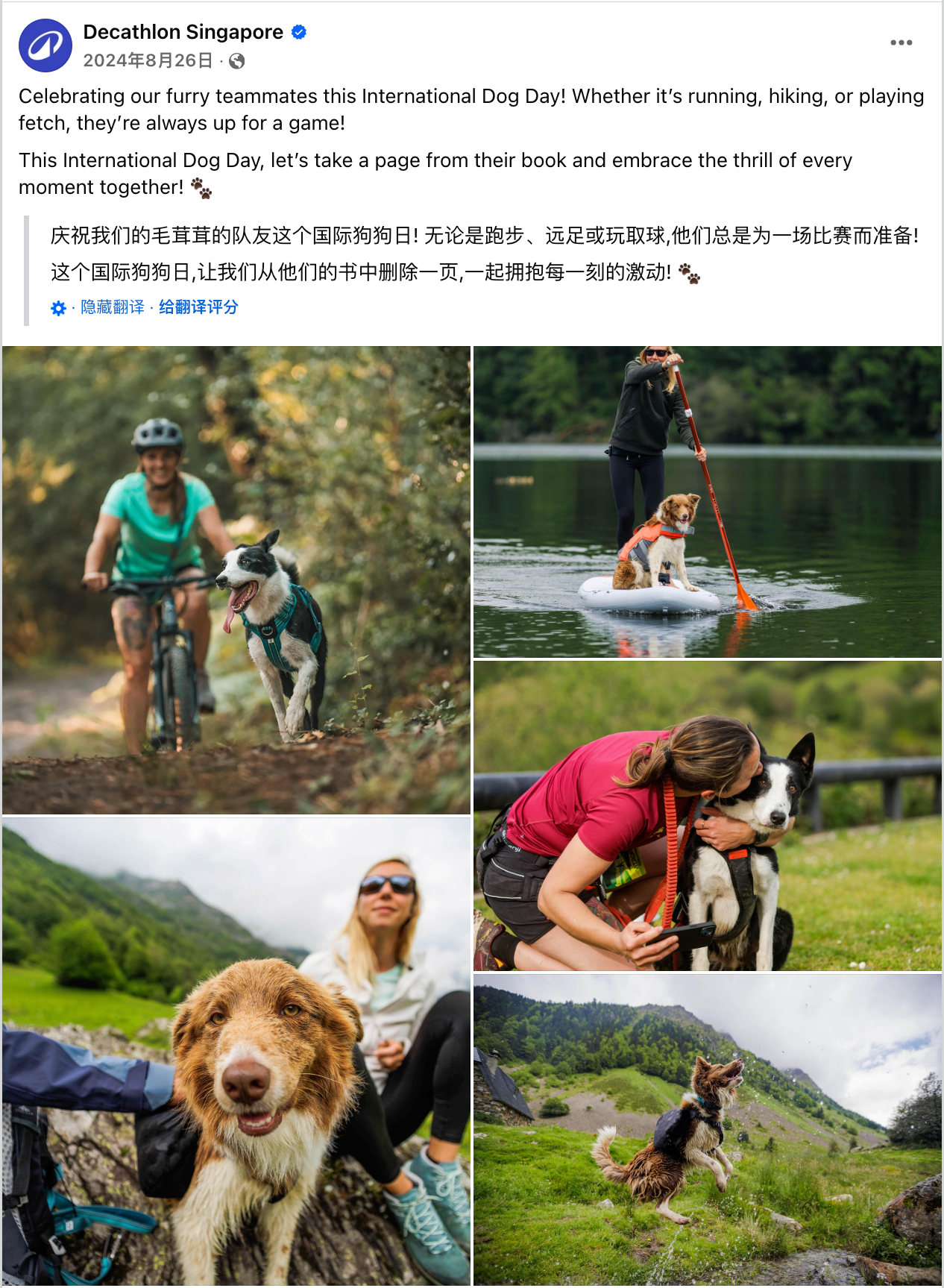 8月海外营销日历:世界摄影日,国际青年日,科隆国际游戏展,国际狗狗日,国际猫咪日,世界运动会...