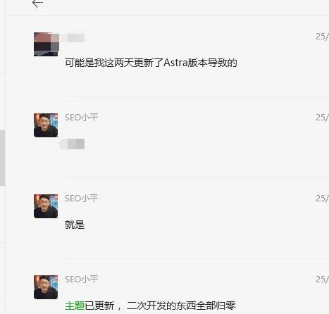 血泪忠告:代码小白千万别换WordPress主题!