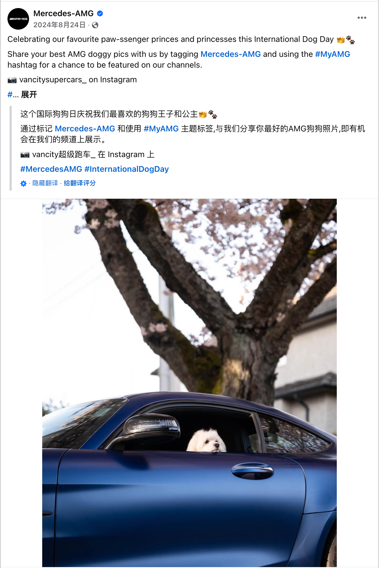 8月海外营销日历:世界摄影日,国际青年日,科隆国际游戏展,国际狗狗日,国际猫咪日,世界运动会...