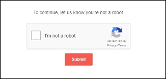 Shopify 卖家如何应对虚假流量?