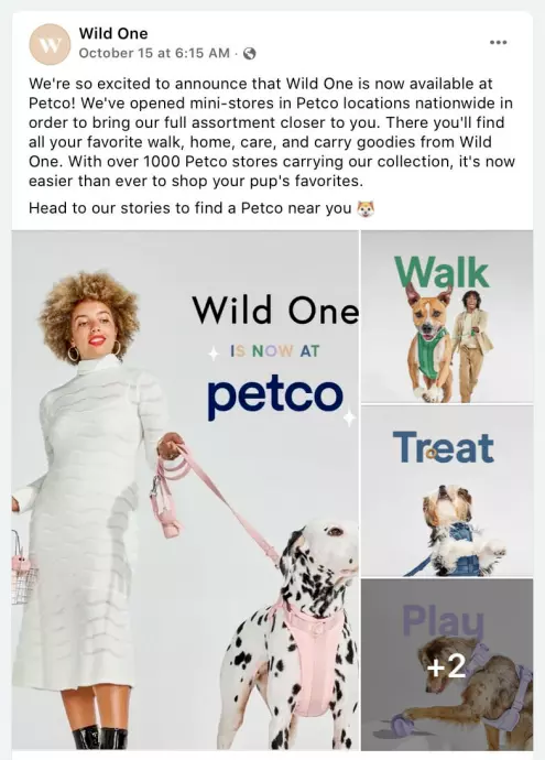 设计与实用兼具,Wild One 宠物用品出圈