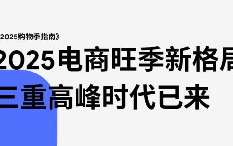 谷歌发布：《2025购物季指南》深度解读（附全文下载）