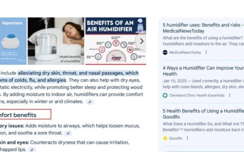 参考Google AI Overview来优化文章内容