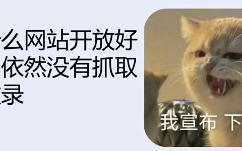为什么网站开放好久了依然没有抓取和收录