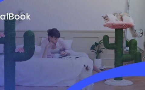 你没听过的上海品牌，在北美把160美元的猫爬架卖成了爆款