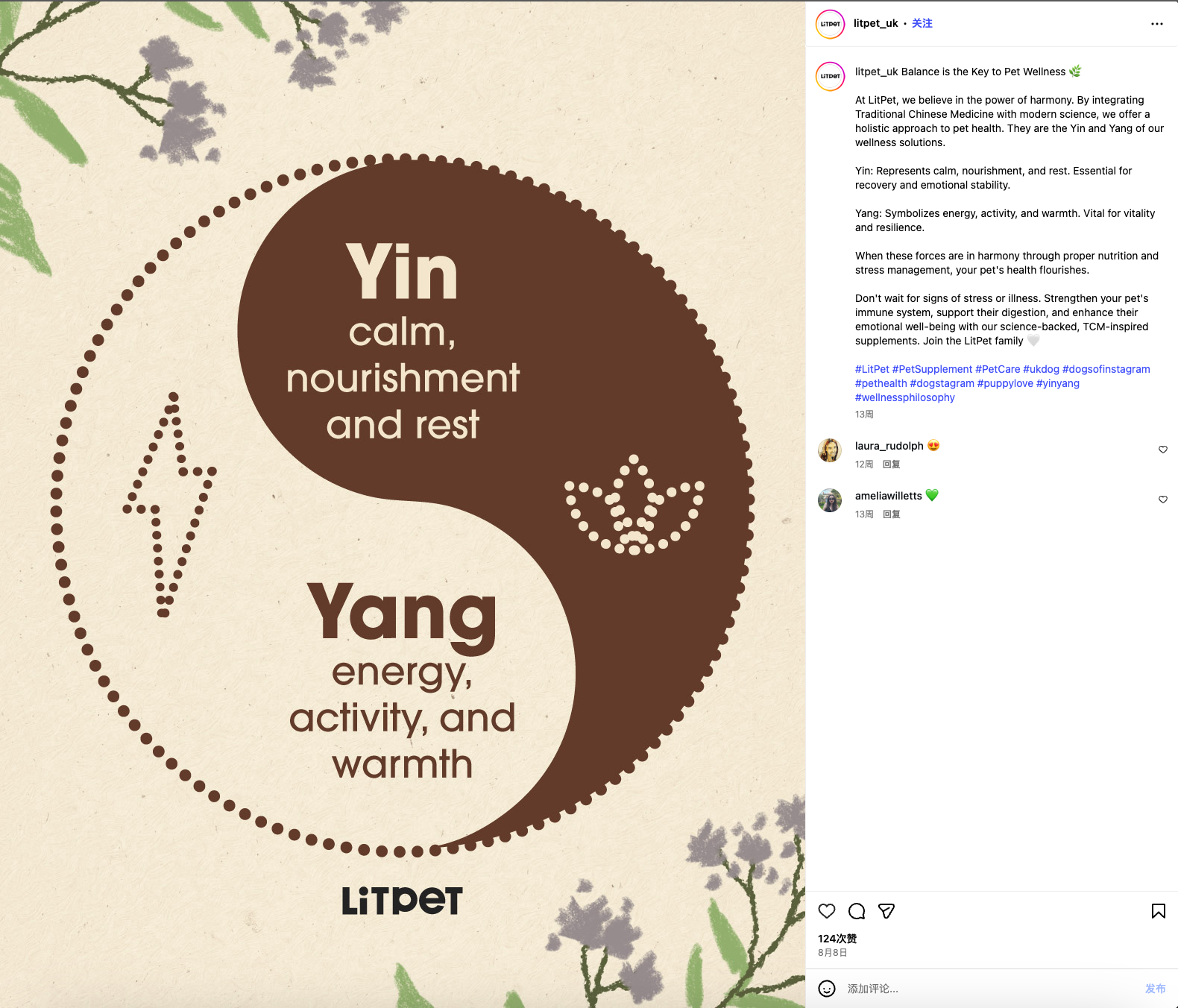 给老年宠物做“保健品”?这个中国品牌把中药卖到了欧洲