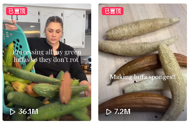 一根瓜竟能摇身变跨境爆品:TikTok热推,独立站卖断货,90后姑娘返乡创业年销3700万!