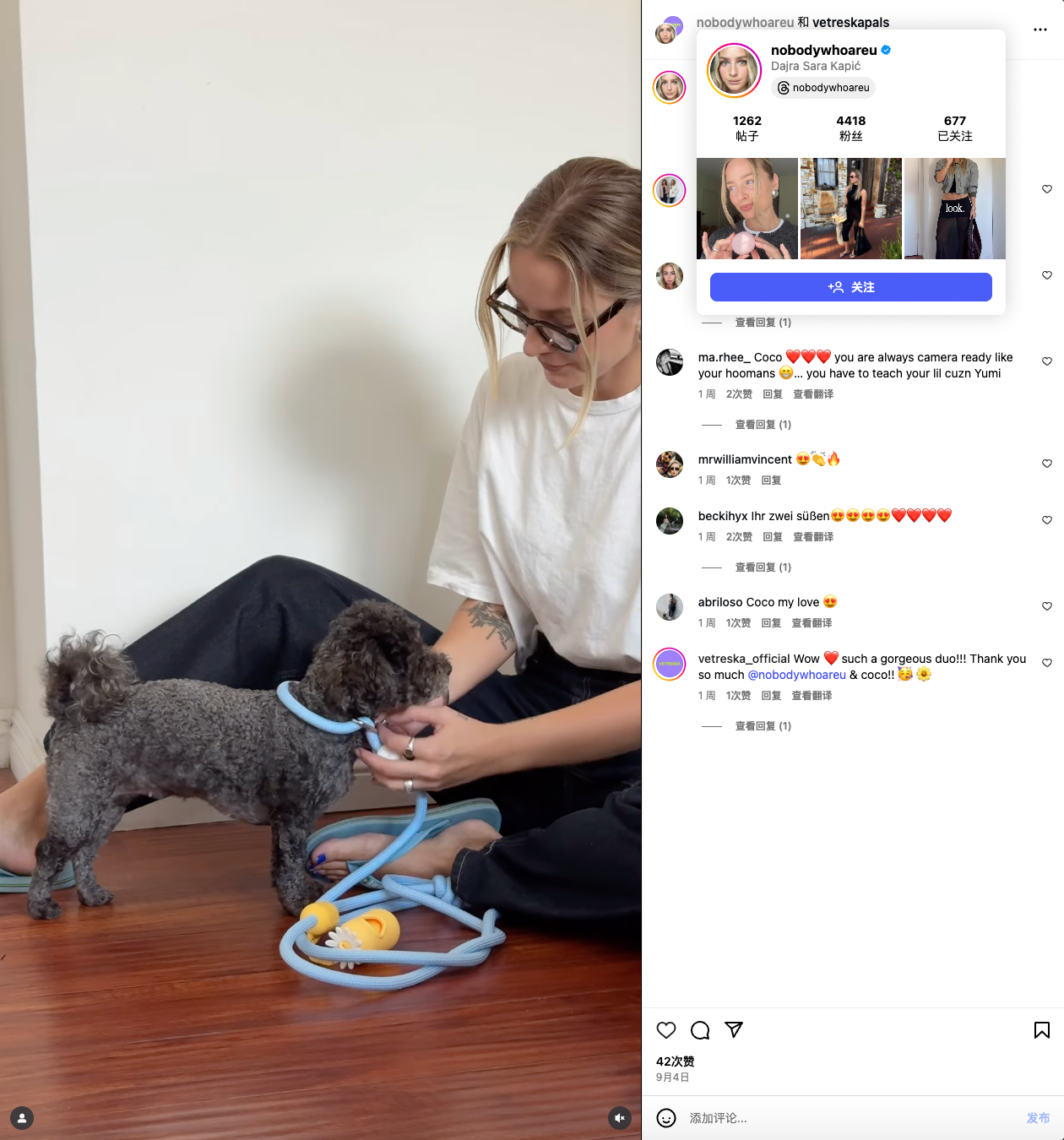 你没听过的上海品牌,在北美把160美元的猫爬架卖成了爆款